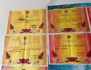 小海豚2 小海豚2